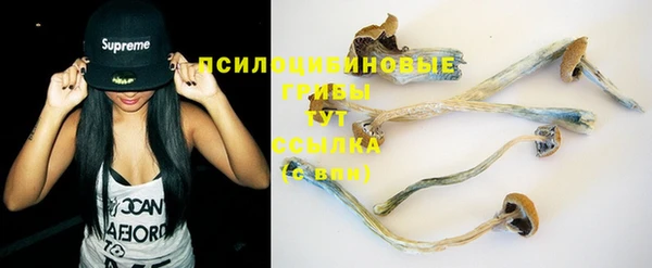 МДПВ Бронницы