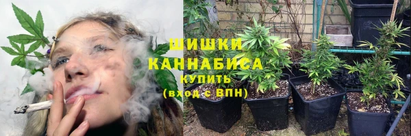 Альфа ПВП Богородицк